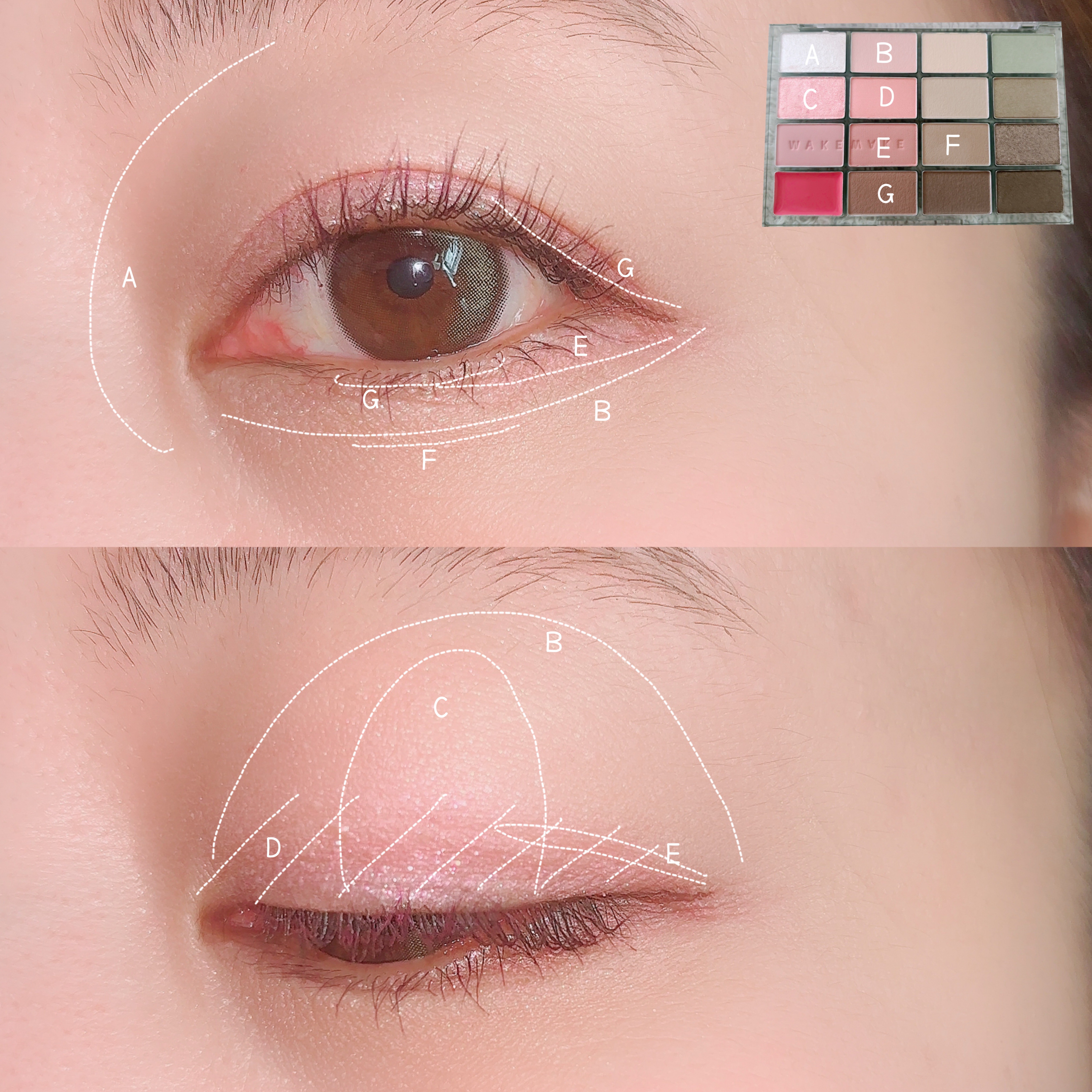 チークステイン ブラッシャー/VDL/パウダーチークを使ったクチコミ（3枚目）