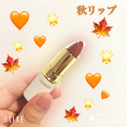 ラスティング リップカラーN/CEZANNE/口紅を使ったクチコミ(1枚目)