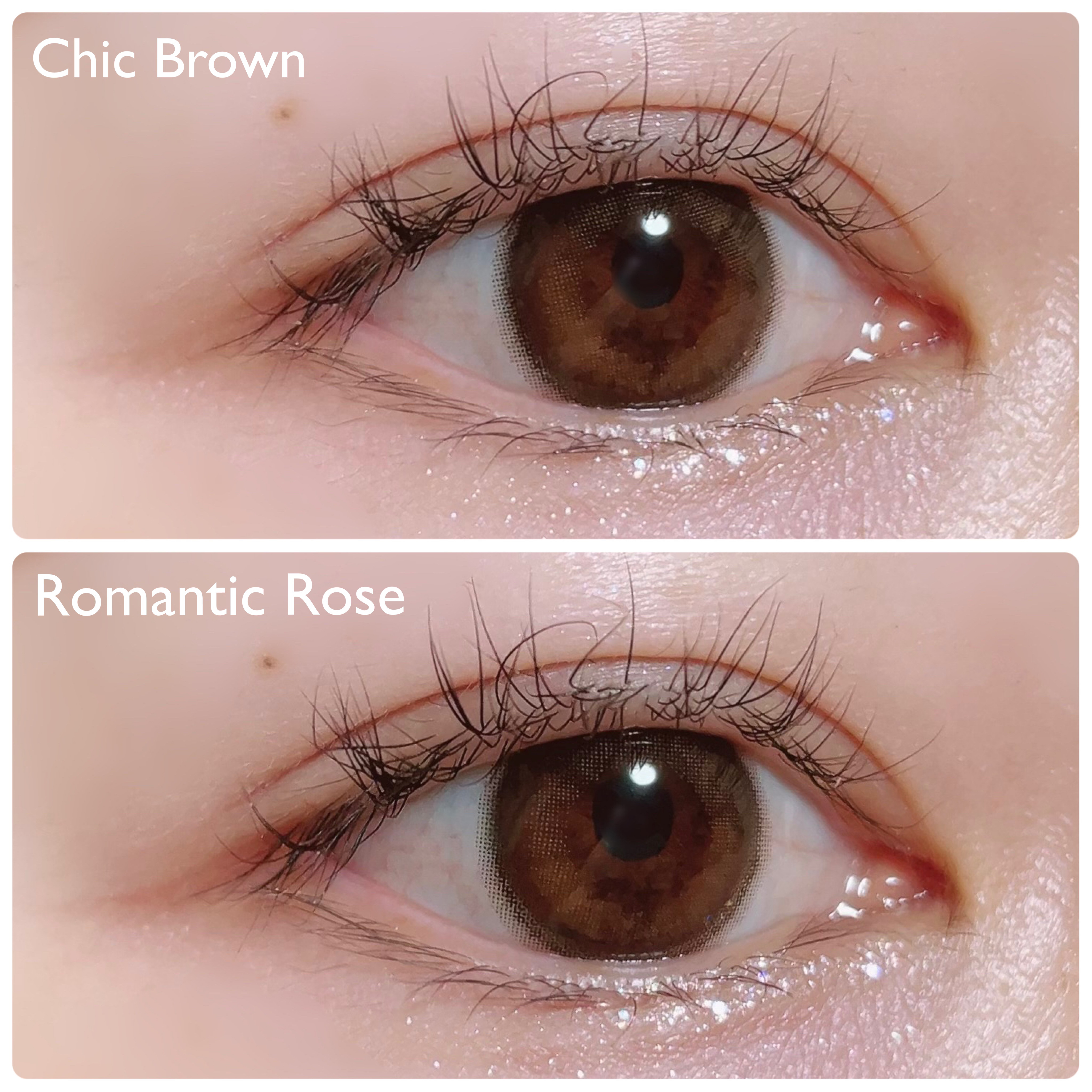 シェード＆ムードアイライナー CHIC BROWN SHADE/Milk Touch/リキッドアイライナーを使ったクチコミ（3枚目）