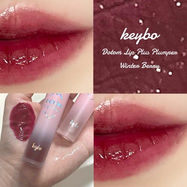 ドトムリッププラスプランパー 09 ウィンターベリー(Winter Berry）/keybo/リップグロスを使ったクチコミ（1枚目）