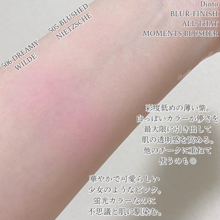 ブラーフィニシュシャドウパレット/Dinto/アイシャドウパレットを使ったクチコミ(7枚目)