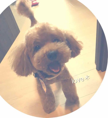 DHC 薬用リップクリーム/DHC/リップクリームを使ったクチコミ(3枚目)