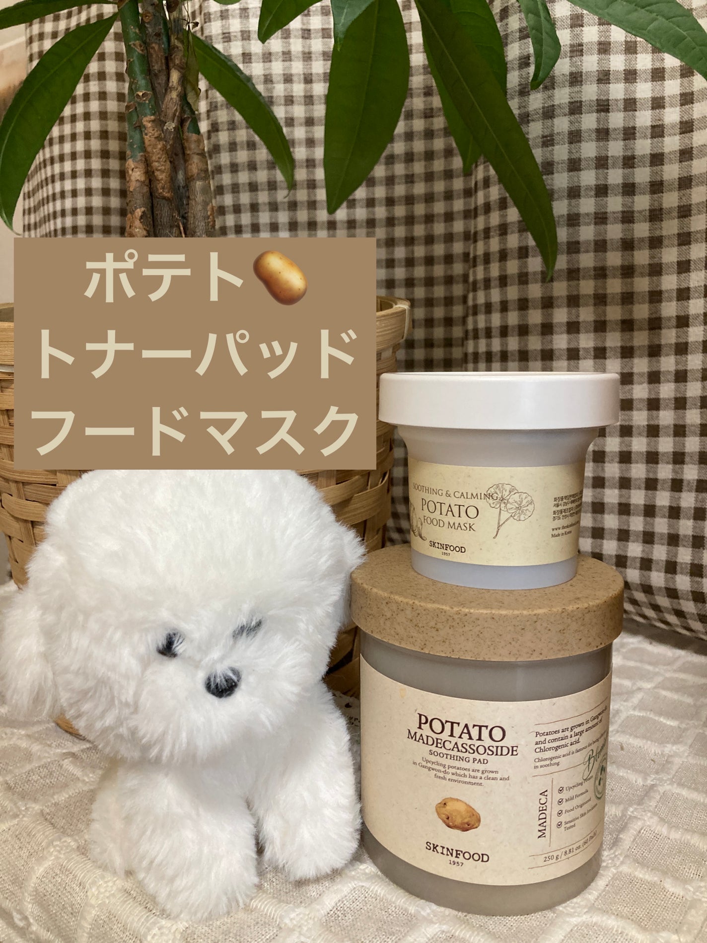 SKINFOOD ポテト マデカソ スージングパッド/SKINFOOD/トナーパッドを使ったクチコミ(1枚目)
