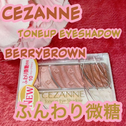 トーンアップアイシャドウ/CEZANNE/アイシャドウパレットを使ったクチコミ(1枚目)