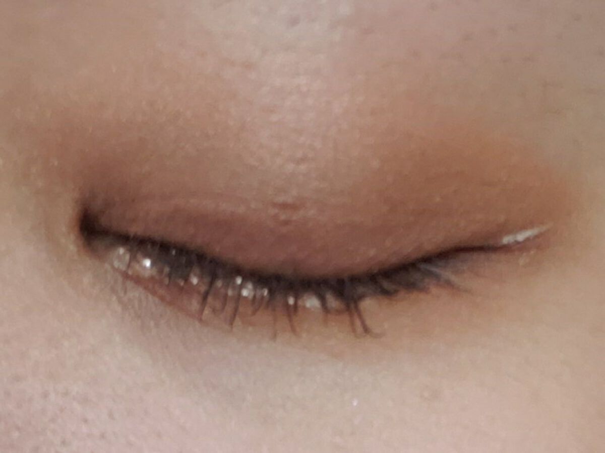 アニマルアイシャドウ(4シェード)/ZEESEA/アイシャドウパレットを使ったクチコミ（2枚目）