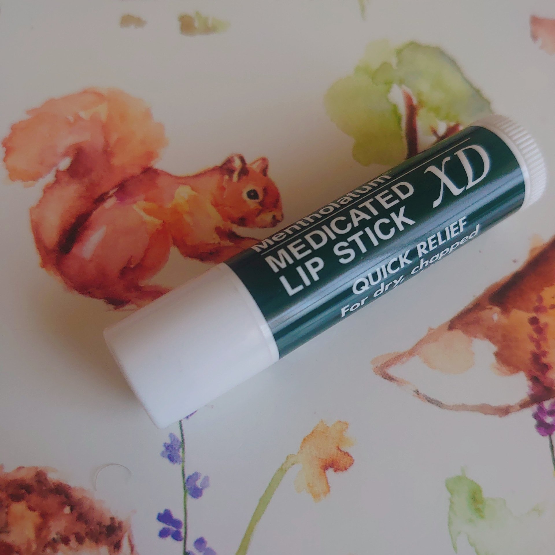 薬用リップスティックXD/メンソレータム/リップクリームを使ったクチコミ（1枚目）