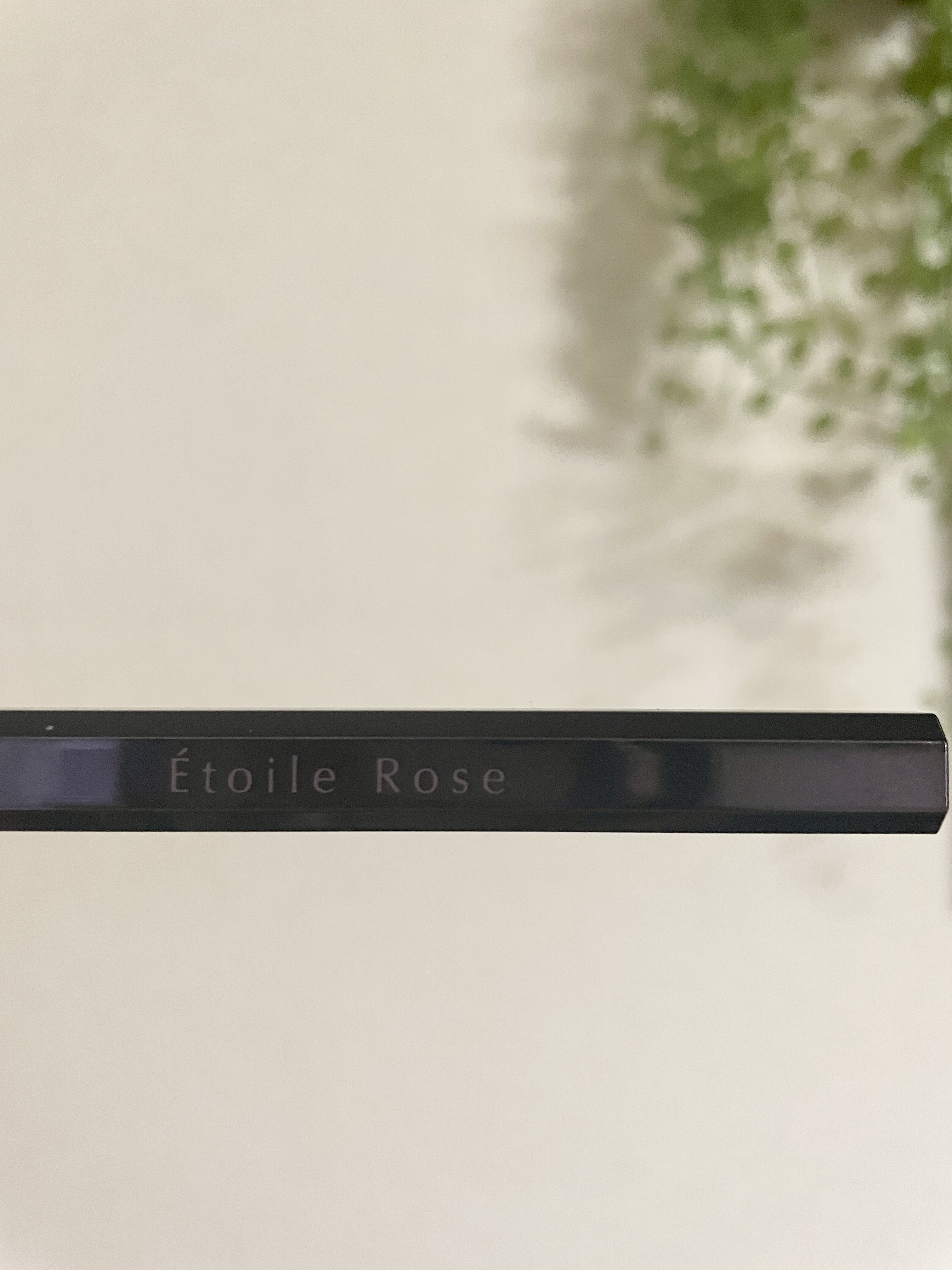 アイライナー/Étoile Rose/リキッドアイライナーを使ったクチコミ（2枚目）