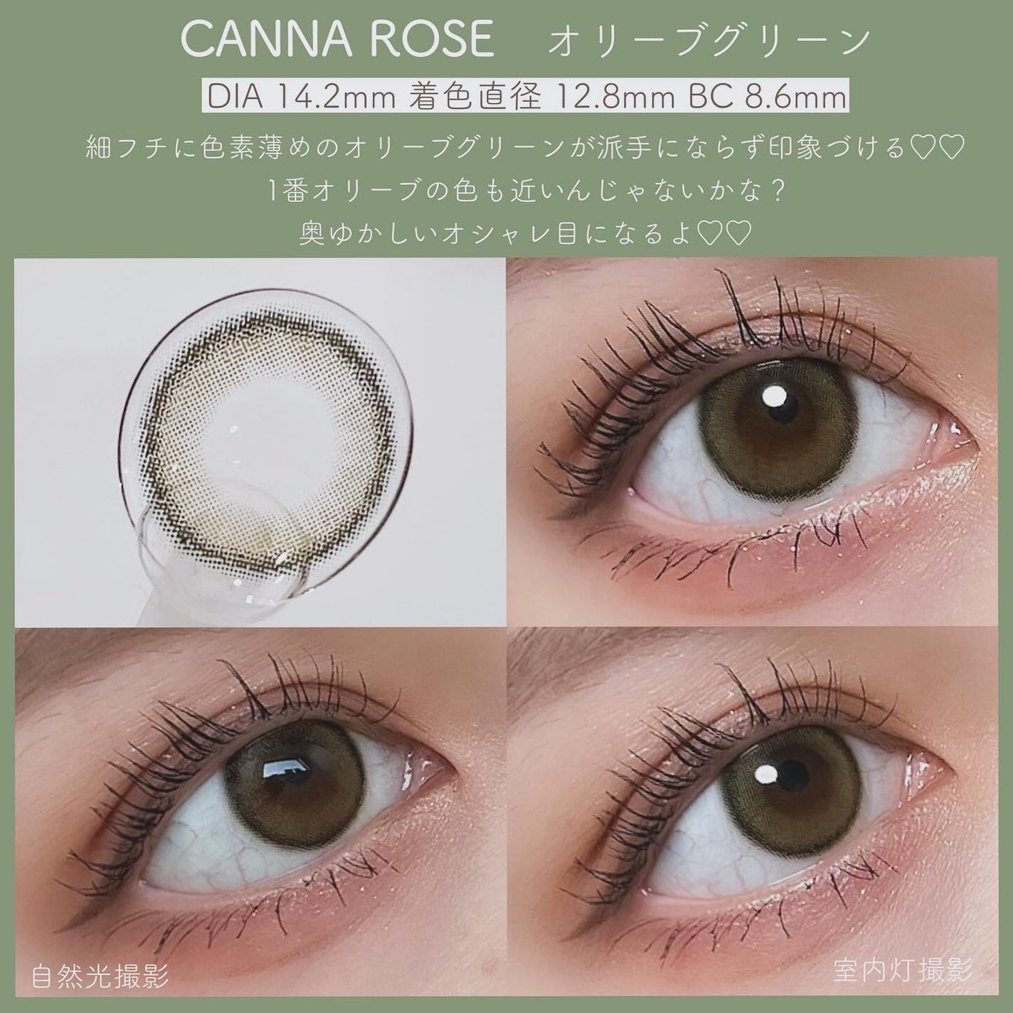 Angelcolor Bambi Series Vintage 1day/AngelColor/ワンデー(1DAY)カラコンを使ったクチコミ(6枚目)