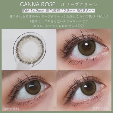Angelcolor Bambi Series Vintage 1day/AngelColor/ワンデー（１DAY）カラコンを使ったクチコミ（6枚目）