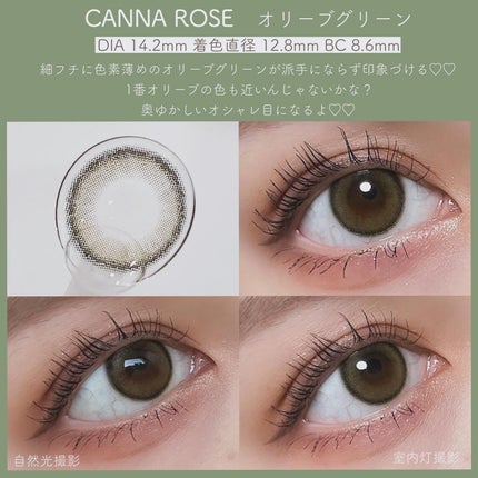 Angelcolor Bambi Series Vintage 1day/AngelColor/ワンデー(1DAY)カラコンを使ったクチコミ(6枚目)
