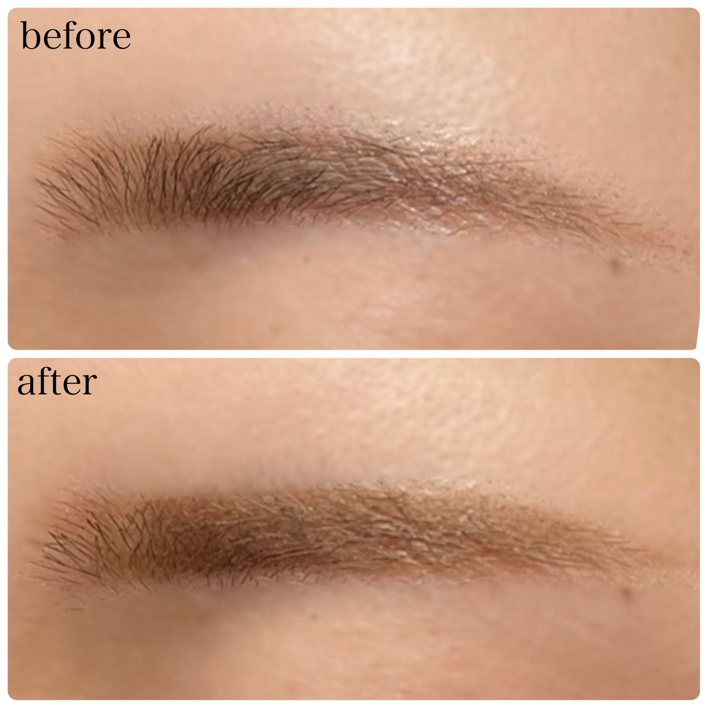 ハンオールブロウカラ/rom&nd/眉マスカラを使ったクチコミ(4枚目)