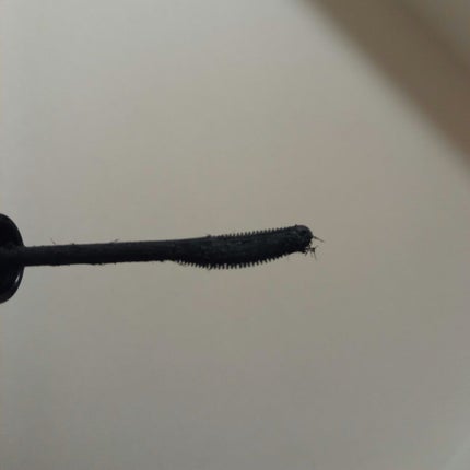 ラッシュエキスパンダー エッジマイスター F BK999/MAJOLICA MAJORCA/マスカラを使ったクチコミ(2枚目)