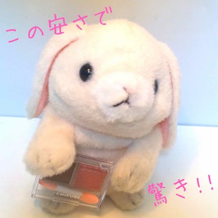 アイ カラー(チップ付)/ちふれ/アイシャドウパレットを使ったクチコミ(1枚目)