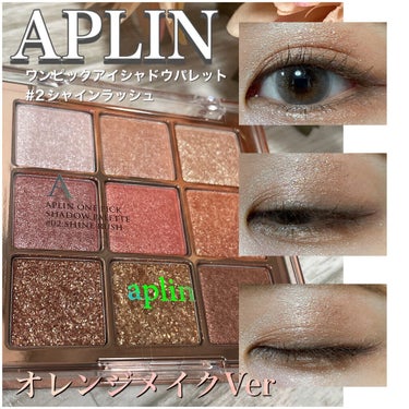 ワンピックアイシャドウパレット/APLIN/パウダーアイシャドウを使ったクチコミ（1枚目）