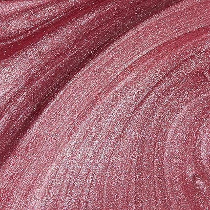 ISLS63 シカゴ シャンパン トースト