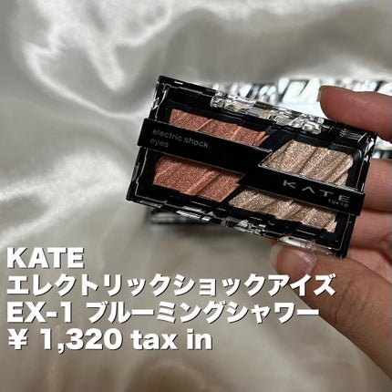 エレクトリックショックアイズ  EX-1 ブルーミングシャワー/KATE/アイシャドウパレットを使ったクチコミ(2枚目)