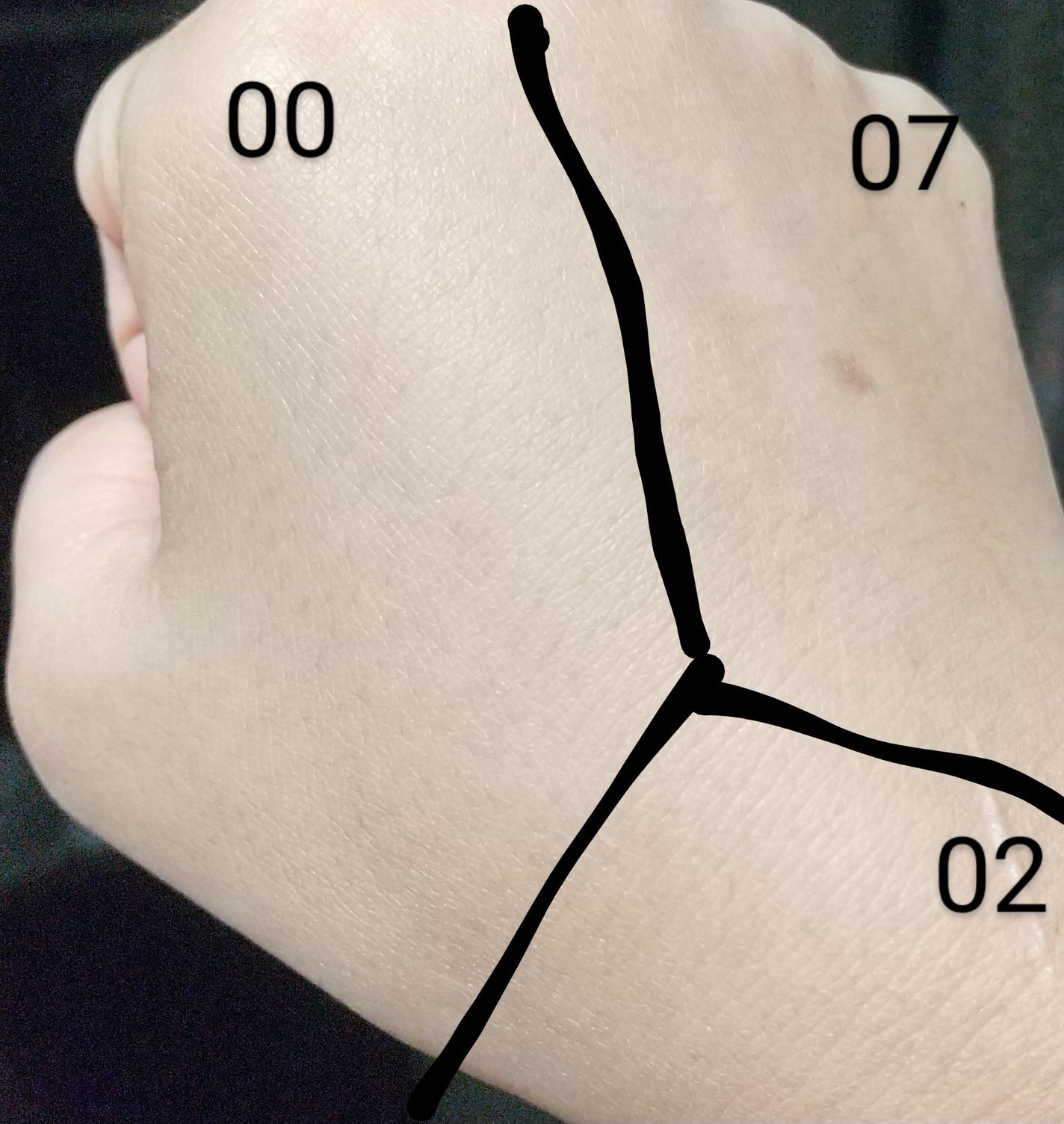 フェイスパウダー/DECORTÉ/ルースパウダーを使ったクチコミ(2枚目)