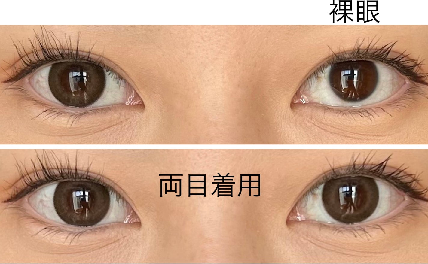 Majette 1day/Majette/ワンデー(1DAY)カラコンを使ったクチコミ(2枚目)