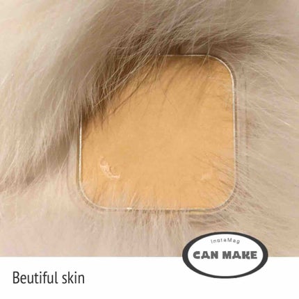 コンシーラーファンデーションUV/キャンメイク/パレットコンシーラーを使ったクチコミ(1枚目)