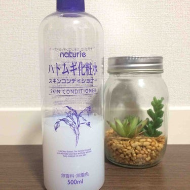 naturie
ハトムギ化粧水
スキンコンディショナー

500mlでワンコインのプチプラアイテム🎀

お風呂上がりに全身にたっぷりと。
化粧水で潤いを与えた後に
BODYSHOPのモリンガオイルを
塗