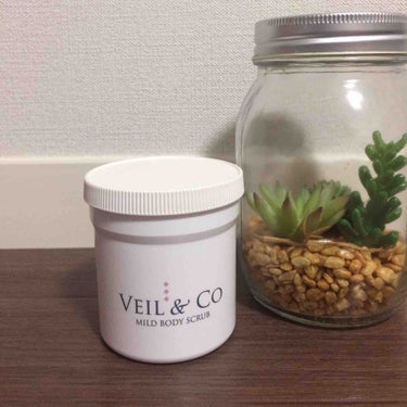 VEIL&CO
ベールアンドコー
マイルドボディスクラブ（全身用）

自宅で簡単にソルトエステ💆🎀

角を落とした丸いソルトスクラブなので
痛みは全くなく、
気持ちよく角質ケア✨
見た目も可愛いピンク色