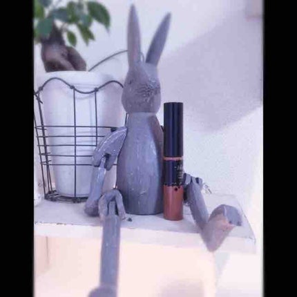 リシェ カラーリング アイブロウマスカラ/Visée/眉マスカラを使ったクチコミ(1枚目)