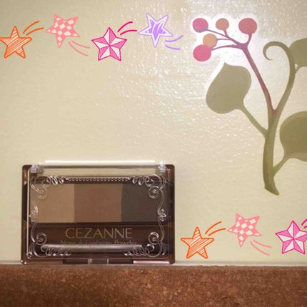 ノーズ&アイブロウパウダー/CEZANNE/パウダーアイブロウを使ったクチコミ(1枚目)