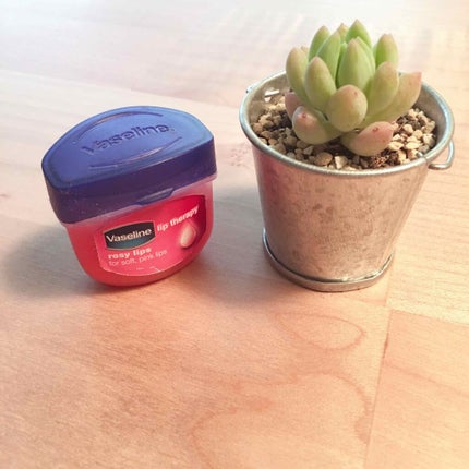 リップ ロージーリップス/ヴァセリン/リップバームを使ったクチコミ(1枚目)