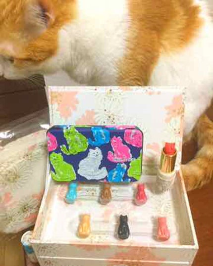 PAUL & JOE BEAUTE アニバーサリー メイクアップ コレクションのクチコミ「こちらは完全に観賞用かと。
とにかく可愛いのですが、猫形のシャドウ等は発色も悪く、実際使えない.....」(1枚目)