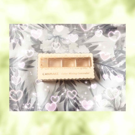 カラーミキシングコンシーラー/キャンメイク/パレットコンシーラーを使ったクチコミ(1枚目)