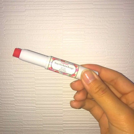 ステイオンバームルージュ/キャンメイク/口紅を使ったクチコミ(1枚目)