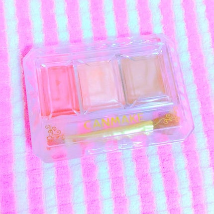 シークレットカラーアイズ/キャンメイク/アイシャドウパレットを使ったクチコミ(1枚目)