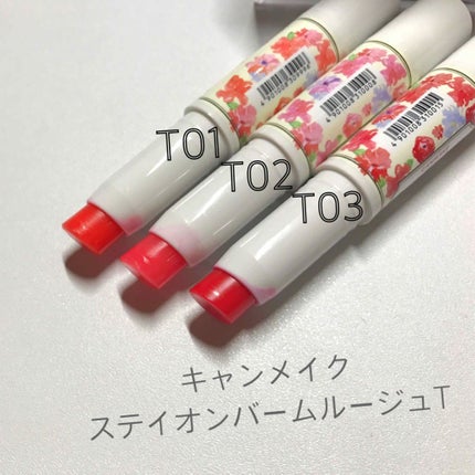 ステイオンバームルージュ/キャンメイク/口紅を使ったクチコミ(1枚目)