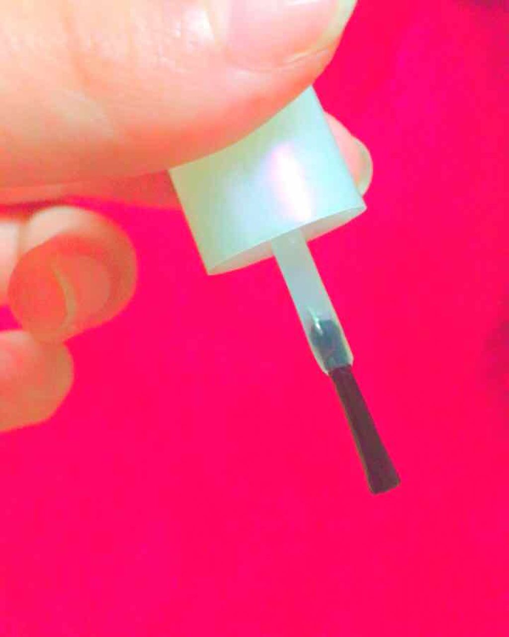 エバビレーナ アイブローコート/DAISO/アイブロウコートを使ったクチコミ（1枚目）