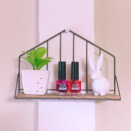 シュガーネイル / キャンドゥ