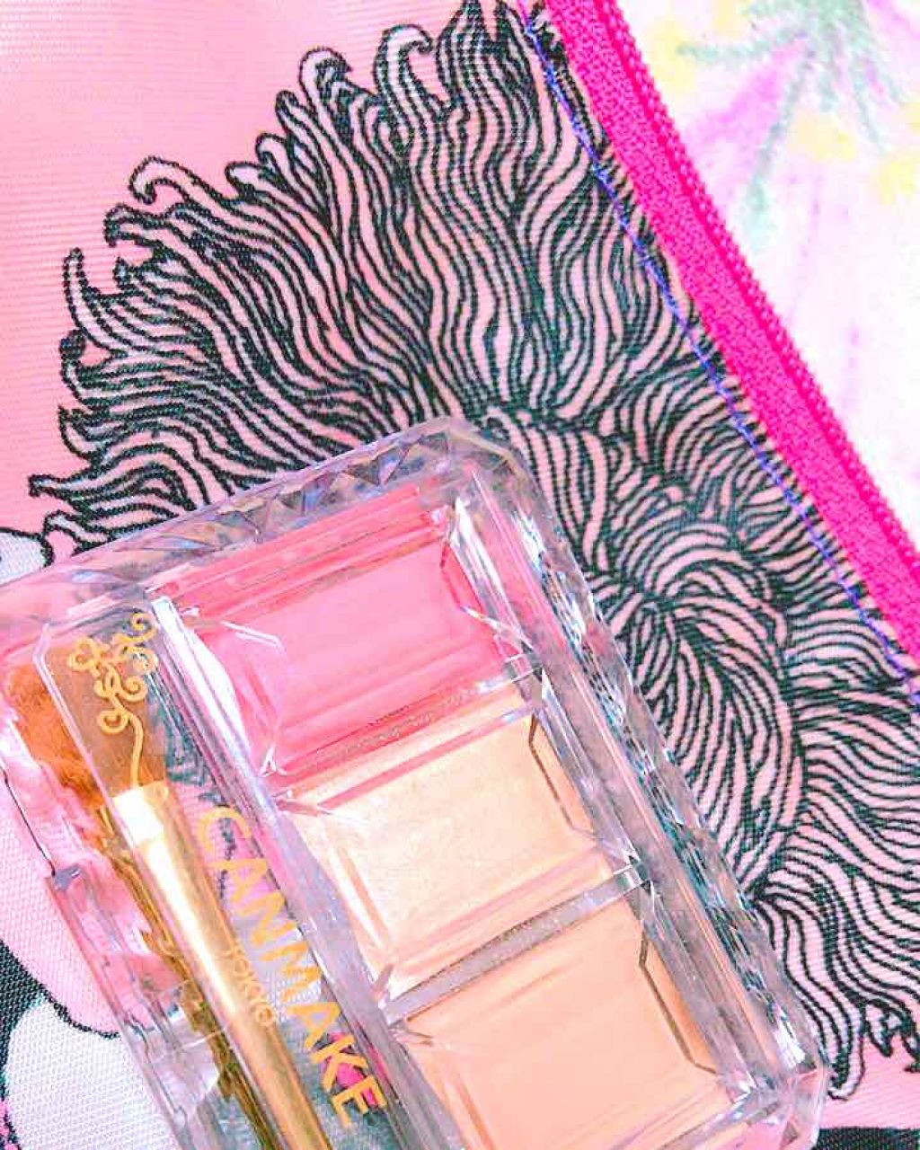 シークレットカラーアイズ/キャンメイク/アイシャドウパレットを使ったクチコミ（1枚目）