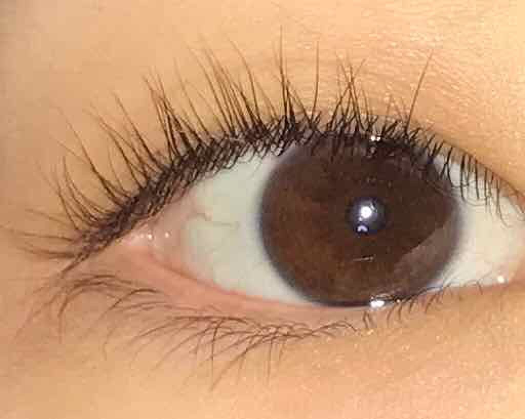 カールアップ1/3 C-180/プレオ/ビューラーを使ったクチコミ（2枚目）