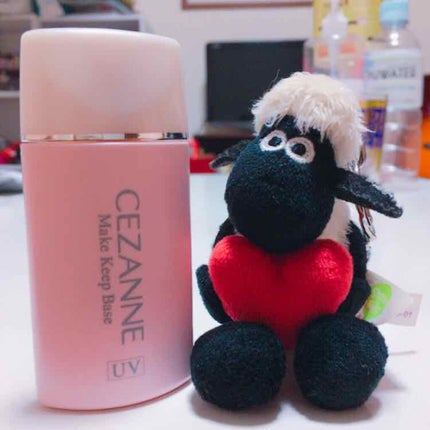 皮脂テカリ防止下地/CEZANNE/化粧下地を使ったクチコミ(1枚目)