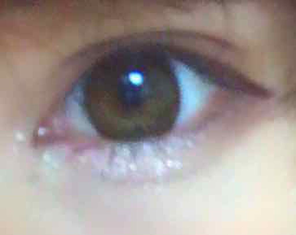 ジェミィリッチ アイズ/Visée/アイシャドウパレットを使ったクチコミ(3枚目)