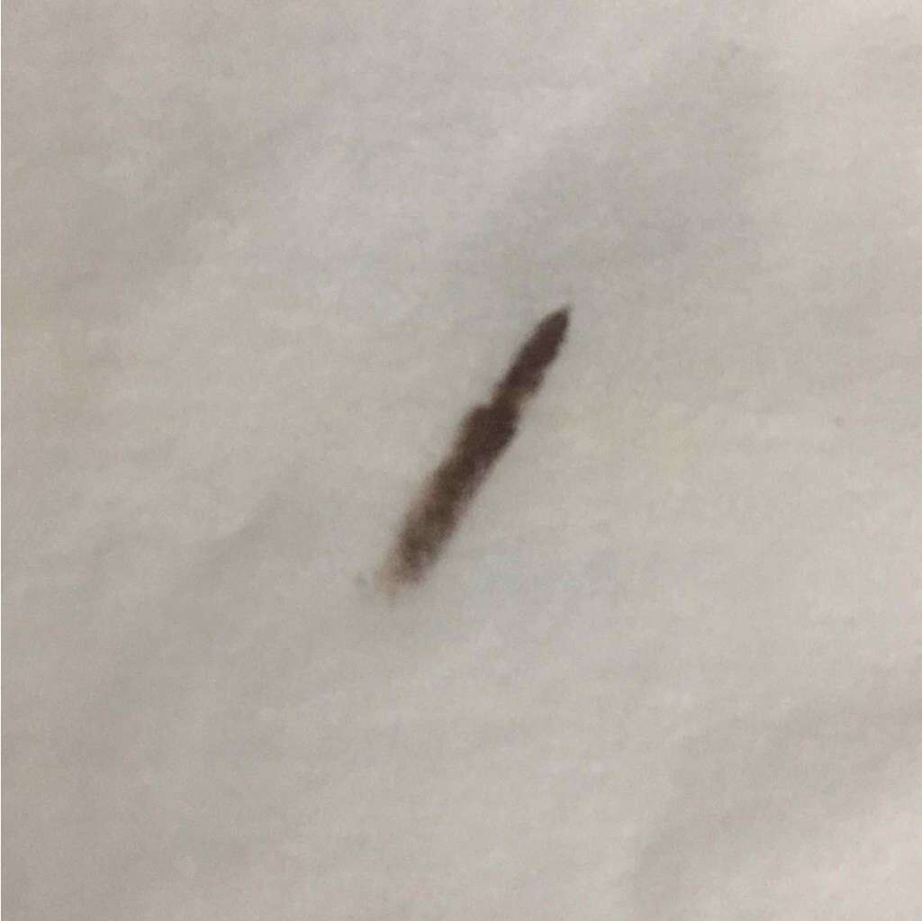 GEL EYE LINER/3CE/ジェルアイライナーを使ったクチコミ（3枚目）