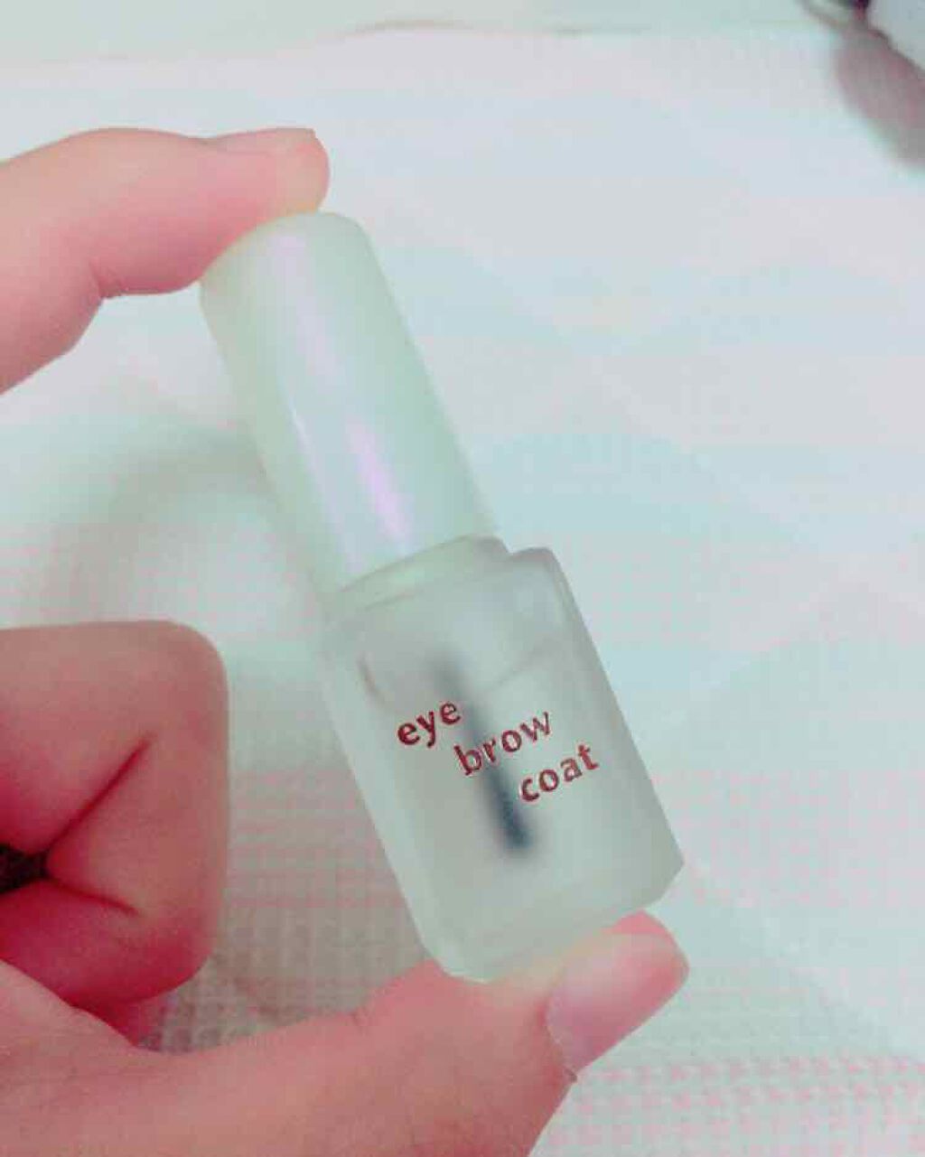 エバビレーナ アイブローコート/DAISO/アイブロウコートを使ったクチコミ（1枚目）