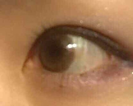 セレクト アイカラー/ESPRIQUE/単色アイシャドウを使ったクチコミ(4枚目)