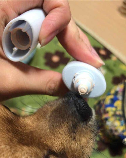 サンスクリーン(R)オンフェイス モイスト/オルビス/日焼け止めクリームを使ったクチコミ(2枚目)