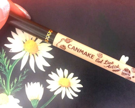 ジェルラインアーティスト/キャンメイク/ジェルアイライナーを使ったクチコミ(1枚目)