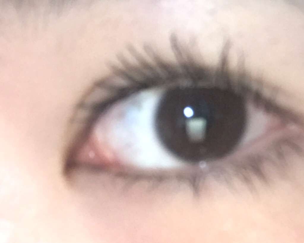 クイックラッシュカーラー/キャンメイク/マスカラ下地を使ったクチコミ(2枚目)