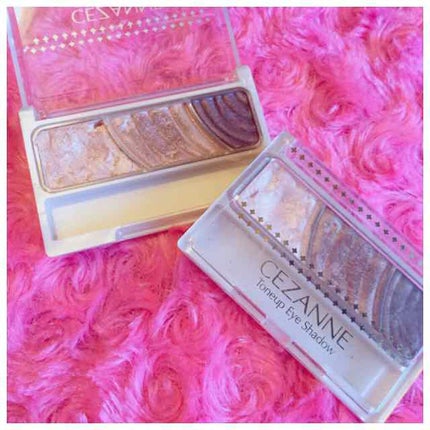 トーンアップアイシャドウ/CEZANNE/アイシャドウパレットを使ったクチコミ(1枚目)