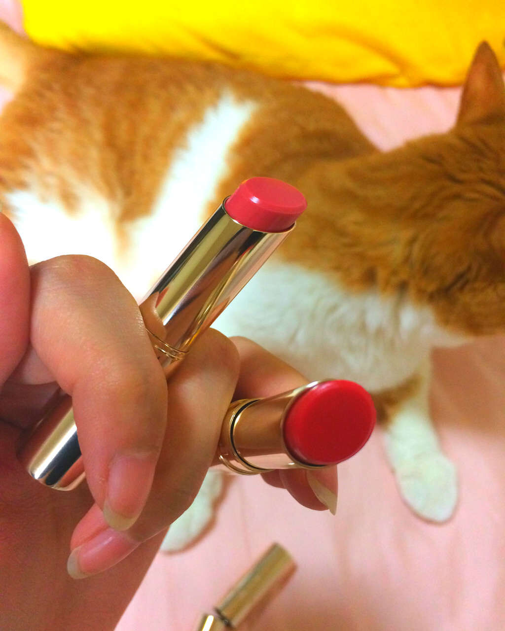 オペラ リップティント N/OPERA/リップティントを使ったクチコミ（1枚目）