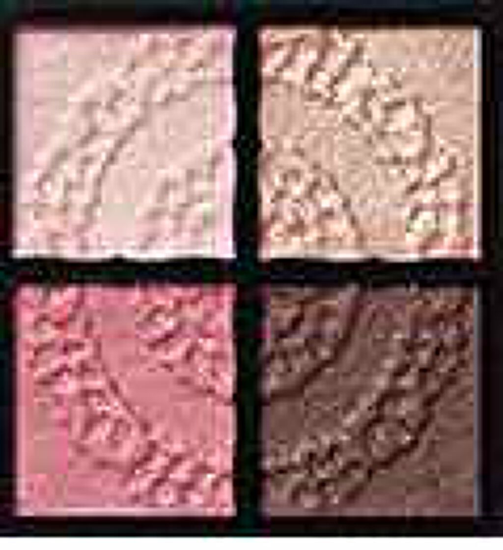 グロッシーリッチ アイズ/Visée/アイシャドウパレットを使ったクチコミ（1枚目）