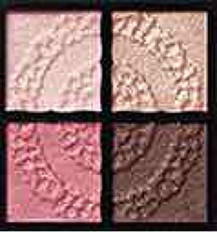 グロッシーリッチ アイズ/Visée/アイシャドウパレットを使ったクチコミ(1枚目)