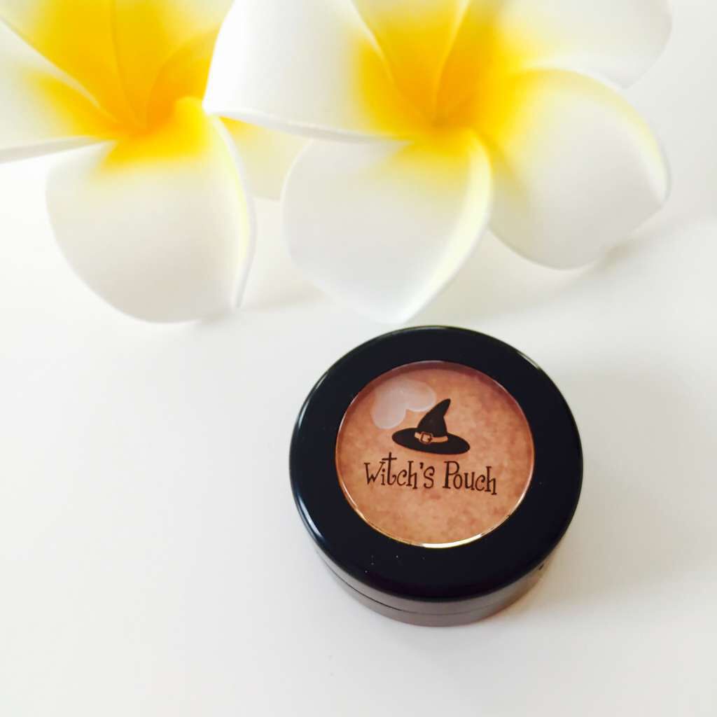 セルフィーフィックスピグメント/Witch's Pouch/単色アイシャドウを使ったクチコミ(1枚目)